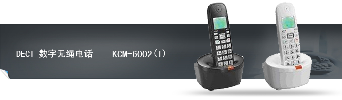 DECT数字无绳电话 KCM-6002