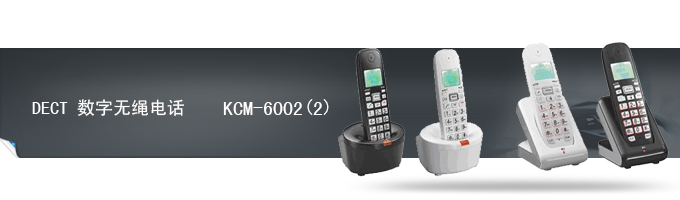 KCM-6002 	 